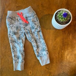 Gray joggers with cute birds skateboarding print 2T